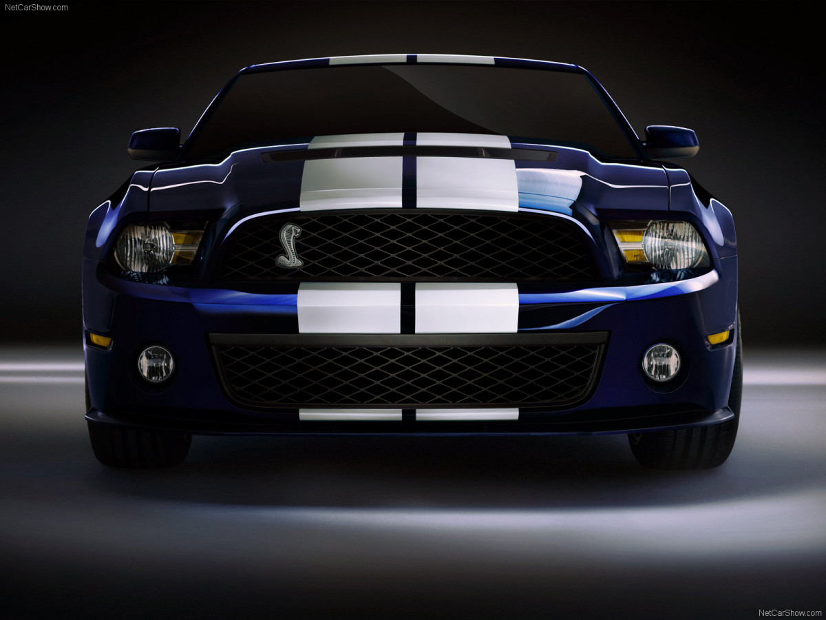 Ford Mustang Shelby GT500 фото 61837