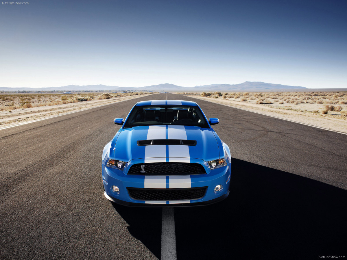 Ford Mustang Shelby GT500 фото 61838