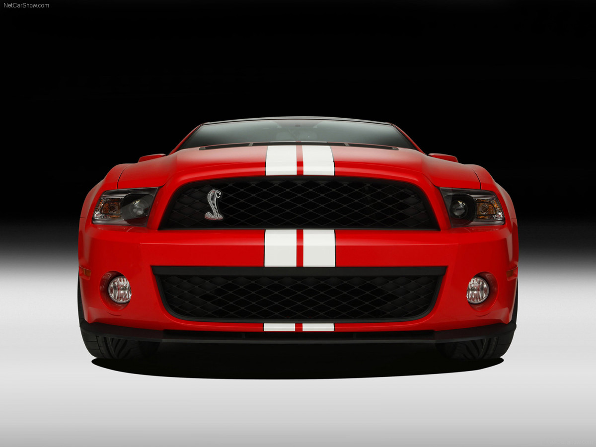 Ford Mustang Shelby GT500 фото 74289