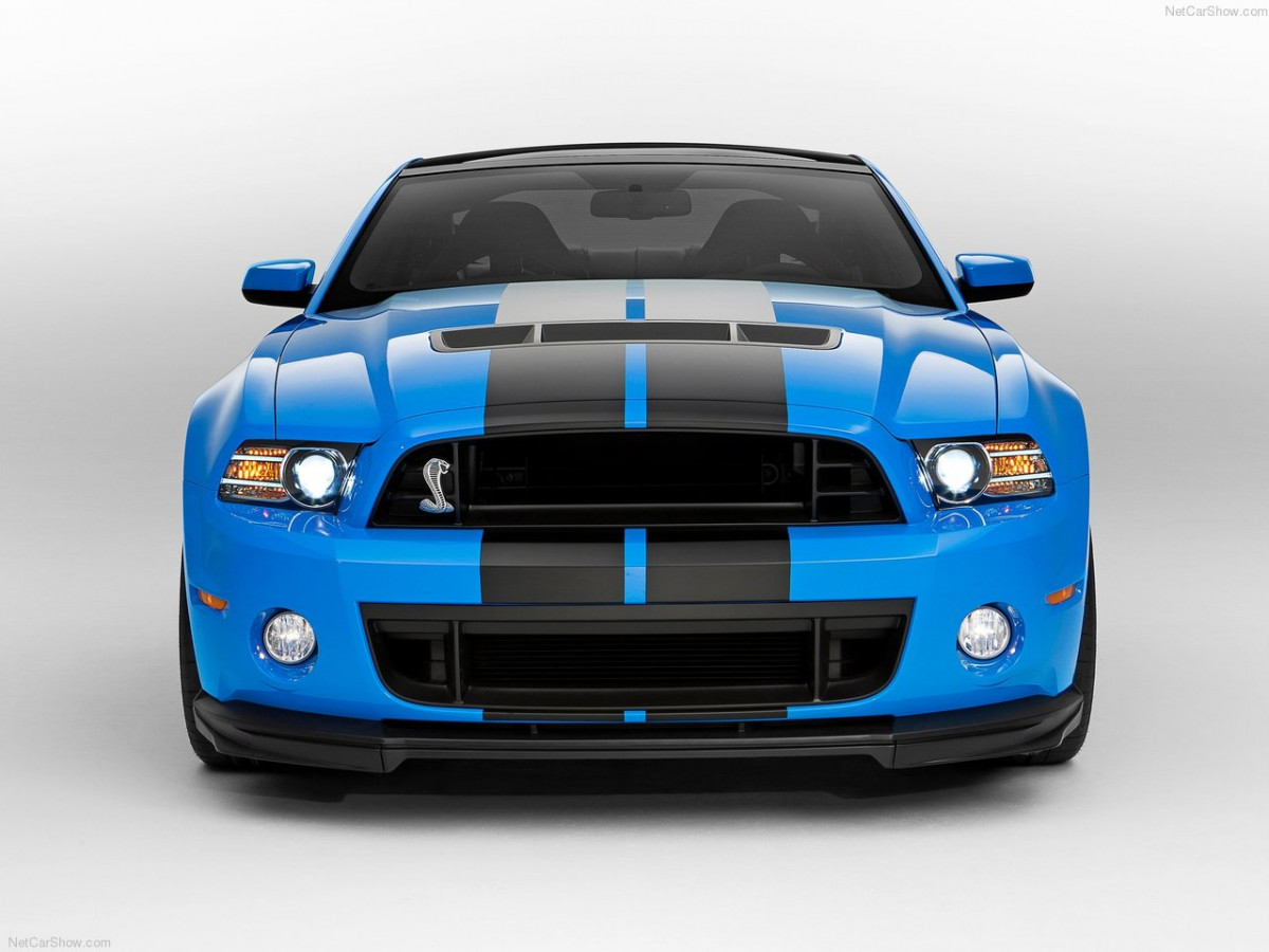 Ford Mustang Shelby GT500 фото 89850