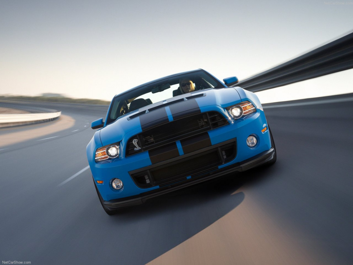 Ford Mustang Shelby GT500 фото 89851