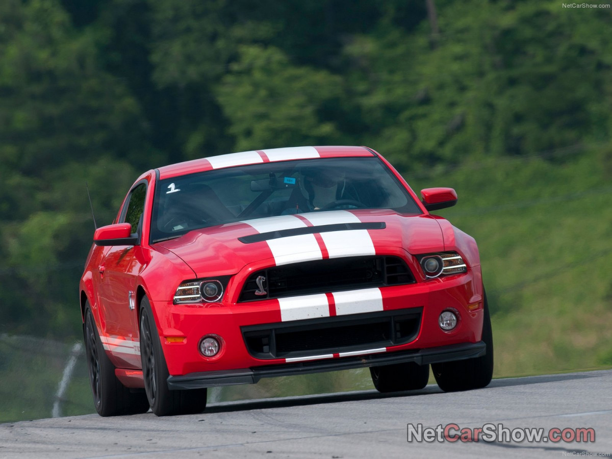 Ford Mustang Shelby GT500 фото 95435