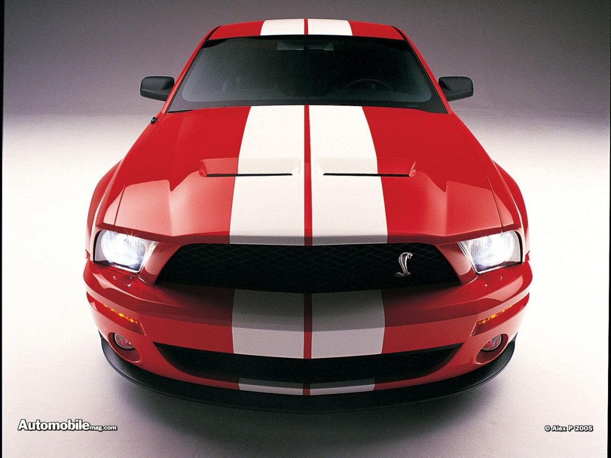 Ford Mustang Shelby фото 28545