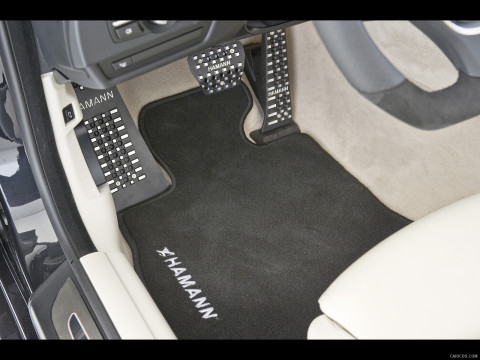 Hamann BMW 6 Series (E63) фото