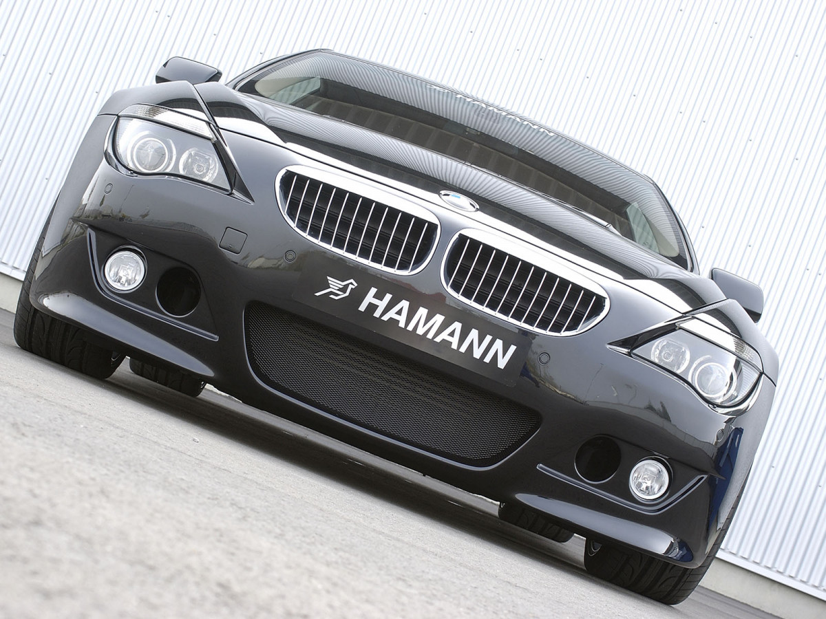 Hamann BMW 6 Series (E63) фото 17164