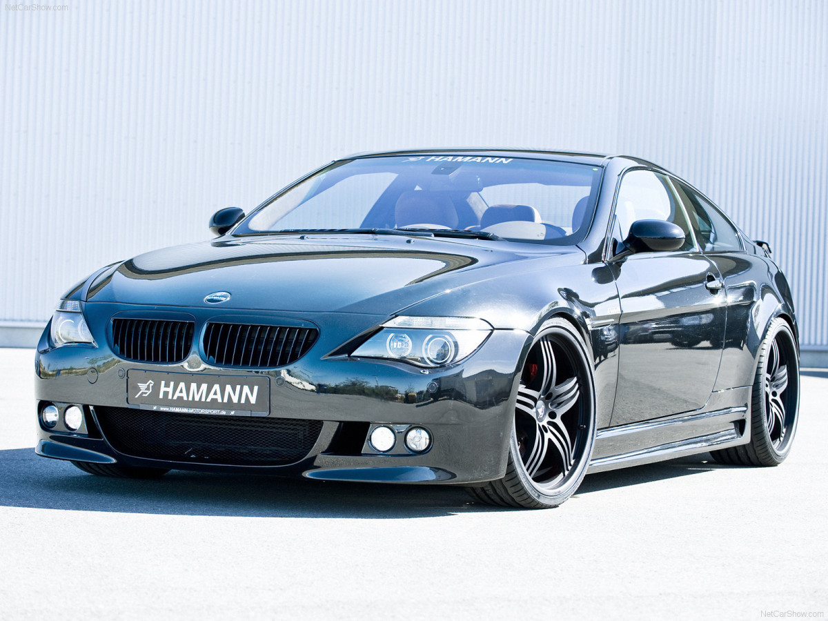 Hamann BMW 6 Series (E63) фото 57272