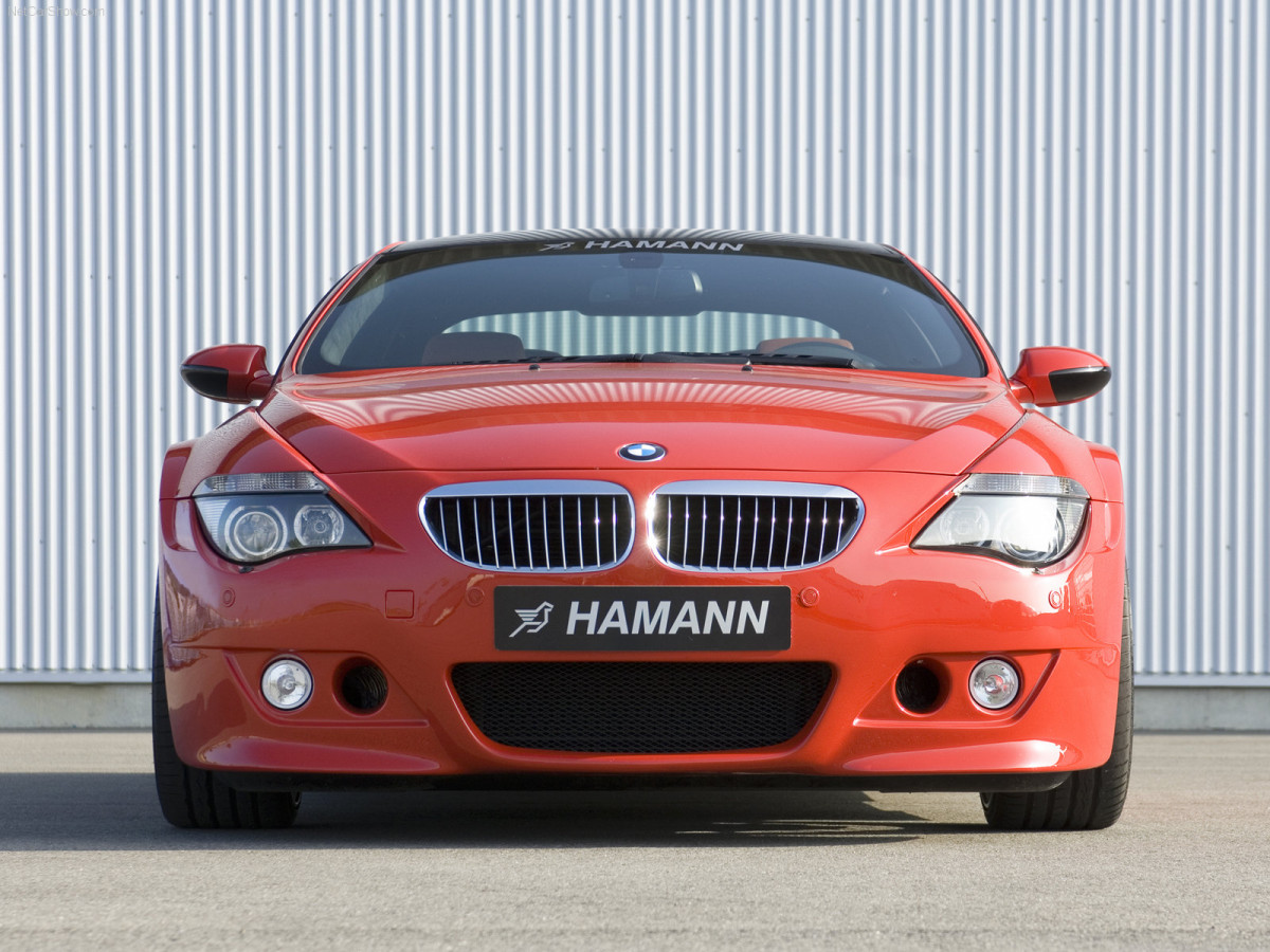 Hamann BMW M6 фото 38963