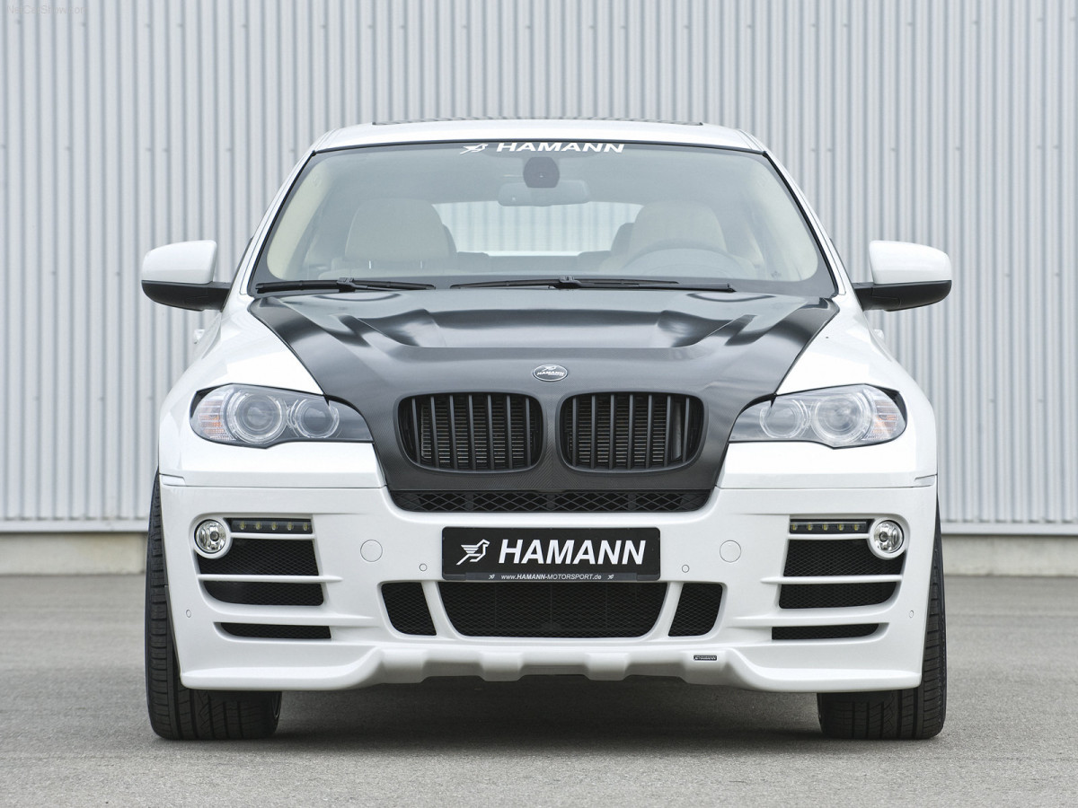 Hamann BMW X6 фото 60248