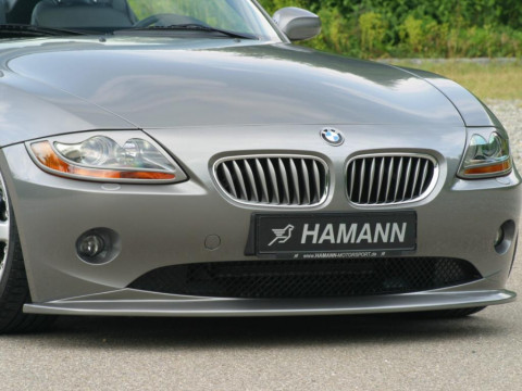 Hamann BMW Z4 HM 3.3 фото