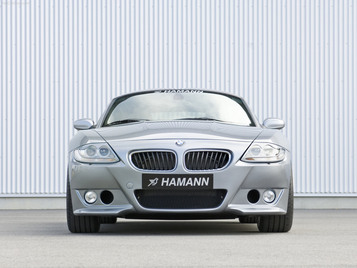 Hamann BMW Z4 M Coupe фото 39449