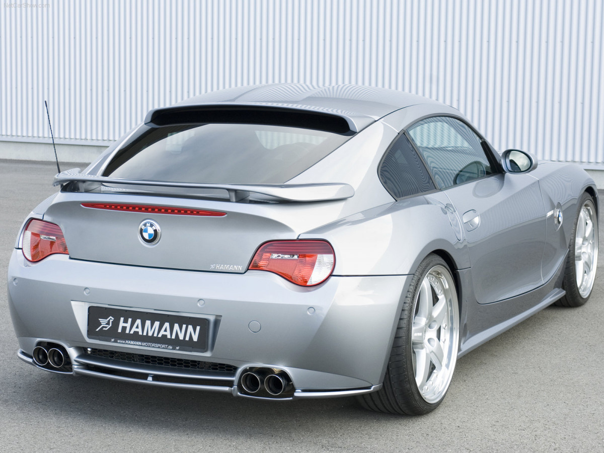 Hamann BMW Z4 M Coupe фото 39450