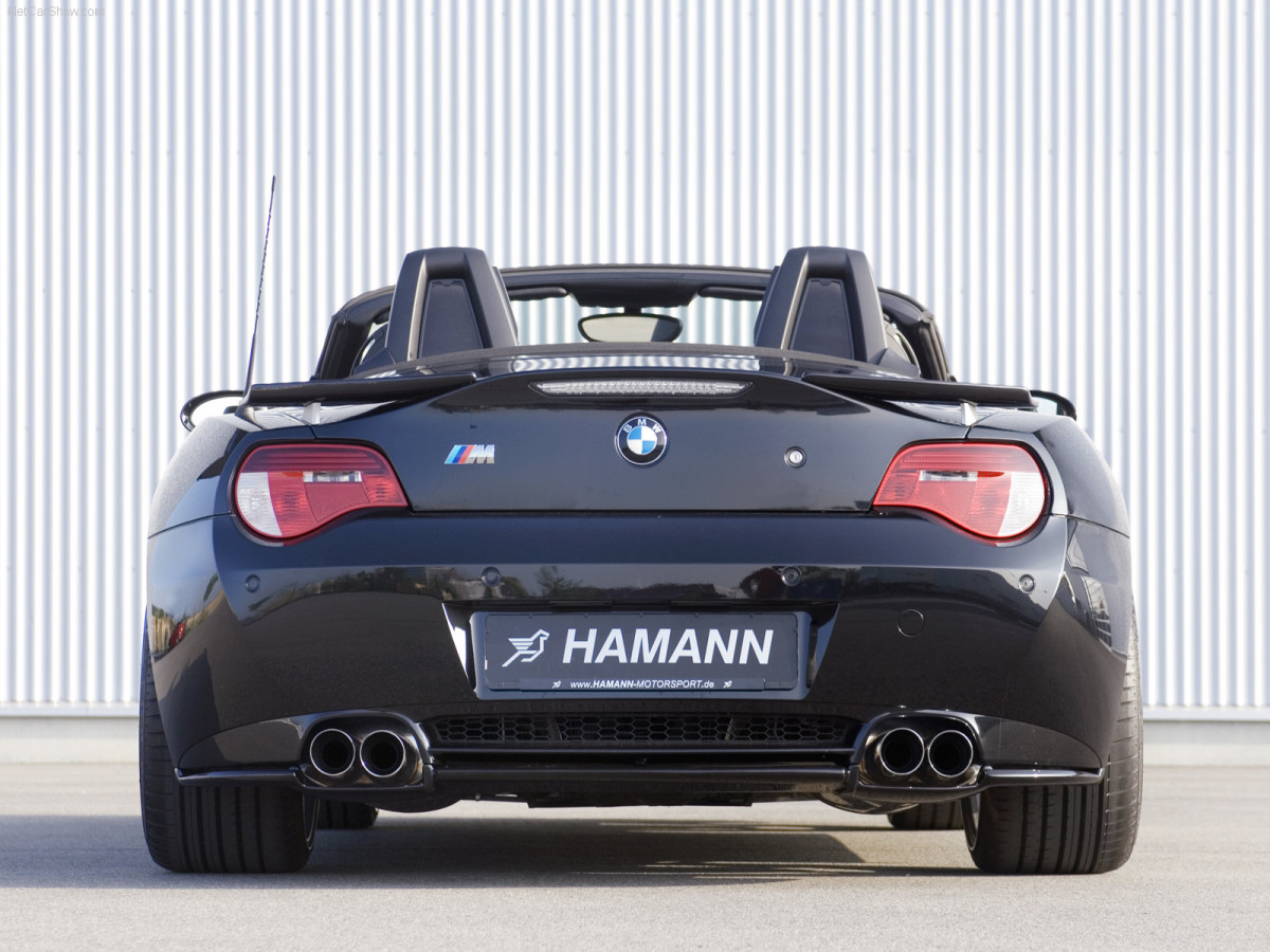 Hamann BMW Z4 M Roadster фото 39440
