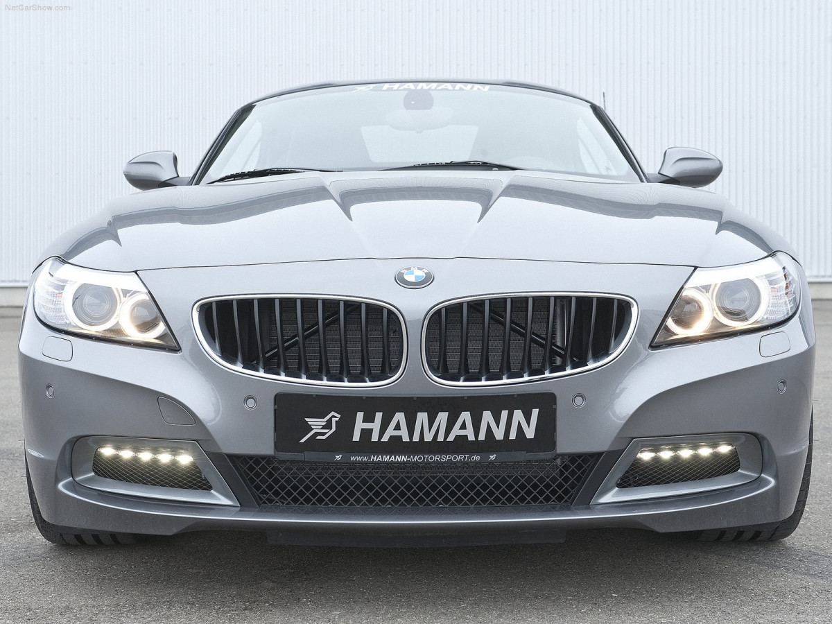 Hamann BMW Z4 фото 76519