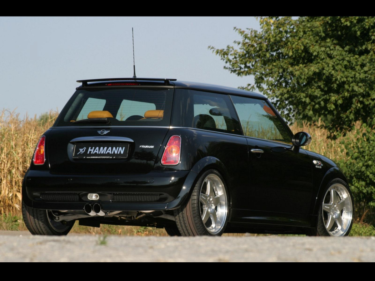 Hamann Mini Cooper S фото 17502