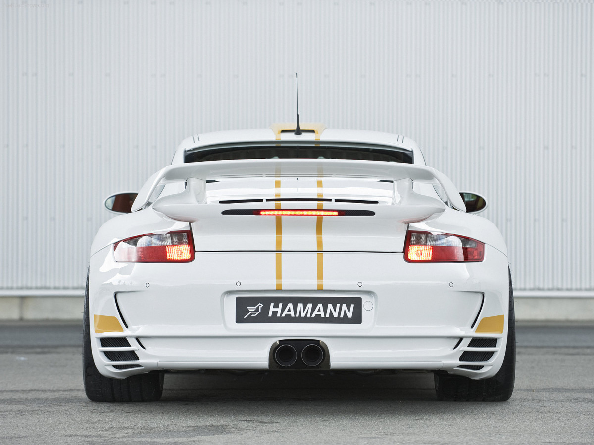 Hamann Porsche 911 Turbo Stallion фото 56284