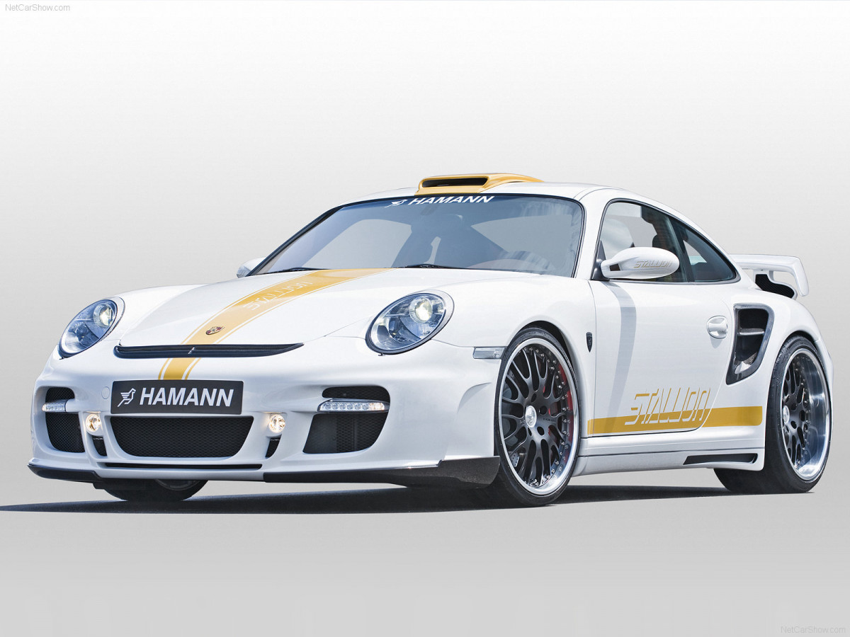 Hamann Porsche 911 Turbo Stallion фото 56291