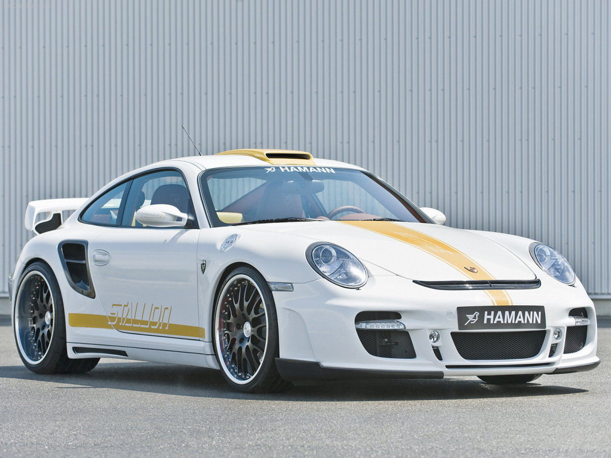 Hamann Porsche 911 Turbo Stallion фото 56294