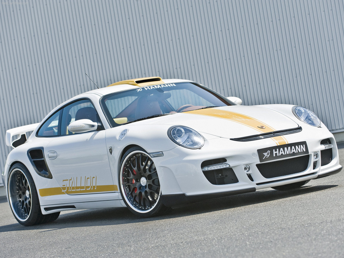 Hamann Porsche 911 Turbo Stallion фото 56295