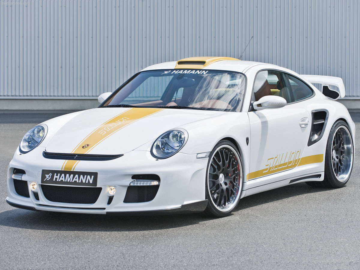 Hamann Porsche 911 Turbo Stallion фото 56296