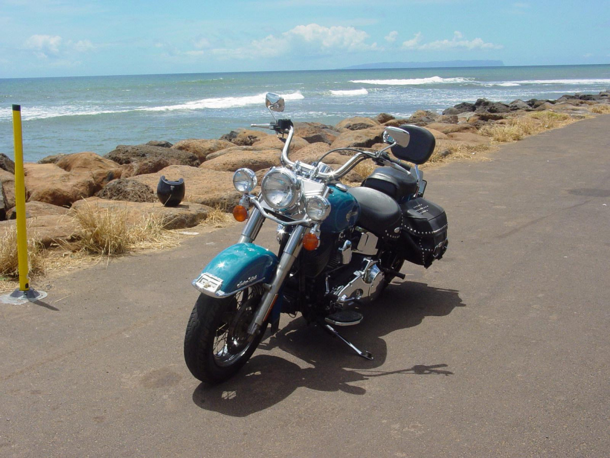 Harley-Davidson FLSTC Heritage Softail Classic фото 22214
