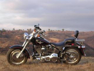 Harley-Davidson FLSTF Fat Boy фото