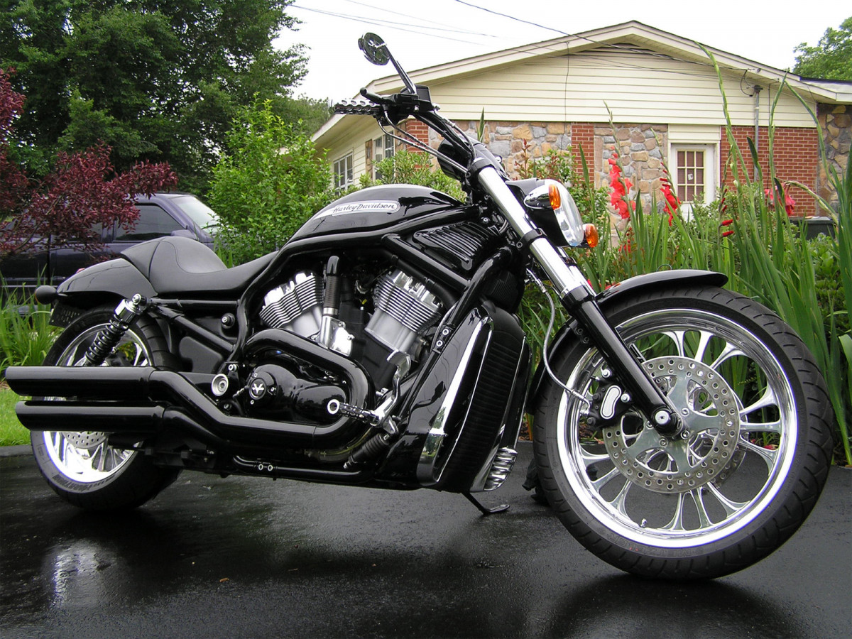 Harley-Davidson VRSCAW V-Rod фото 71900
