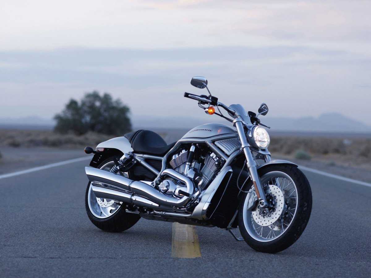 Harley-Davidson VRSCAW V-Rod фото 71901