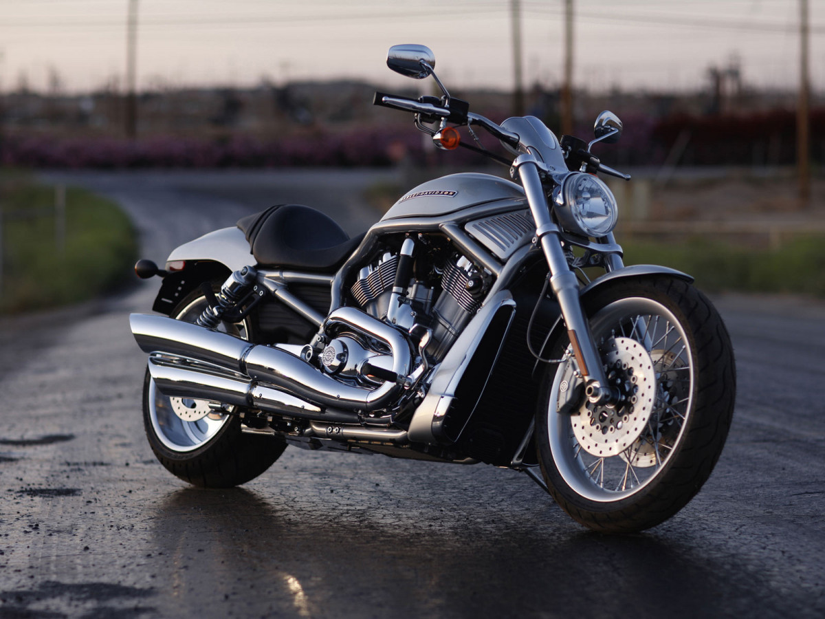 Harley-Davidson VRSCAW V-Rod фото 71904