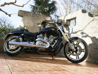 Harley-Davidson VRSCF V-Rod Muscle фото