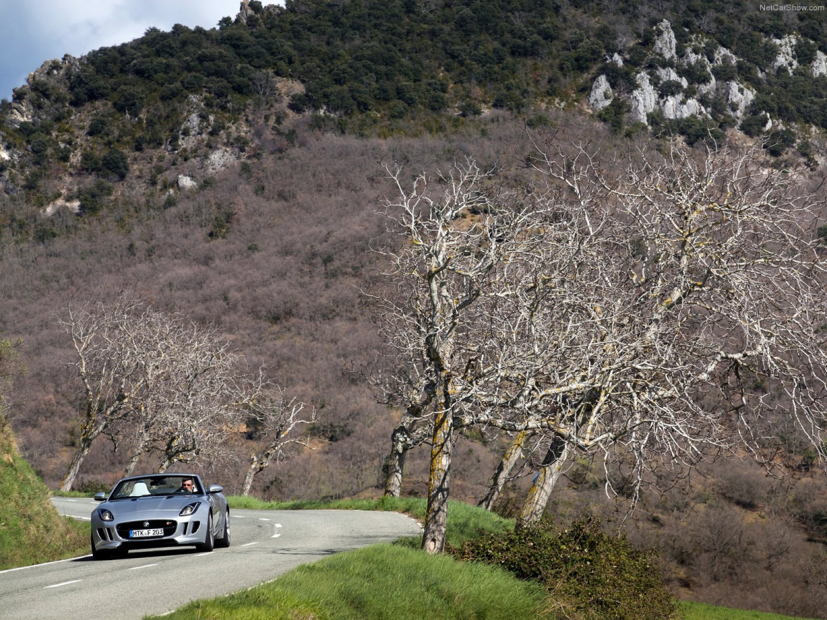 Jaguar F-Type V6 S фото 114976