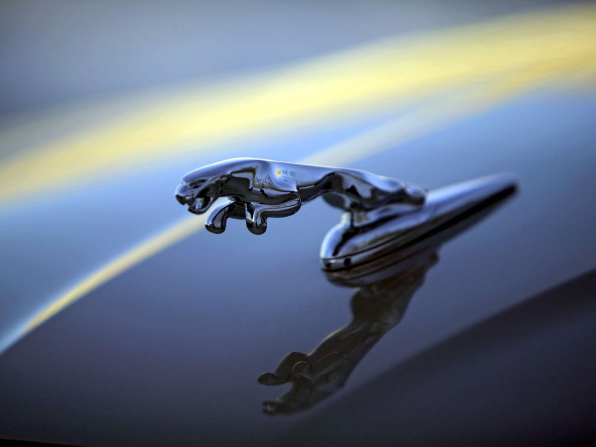 Jaguar X-Type фото 16702