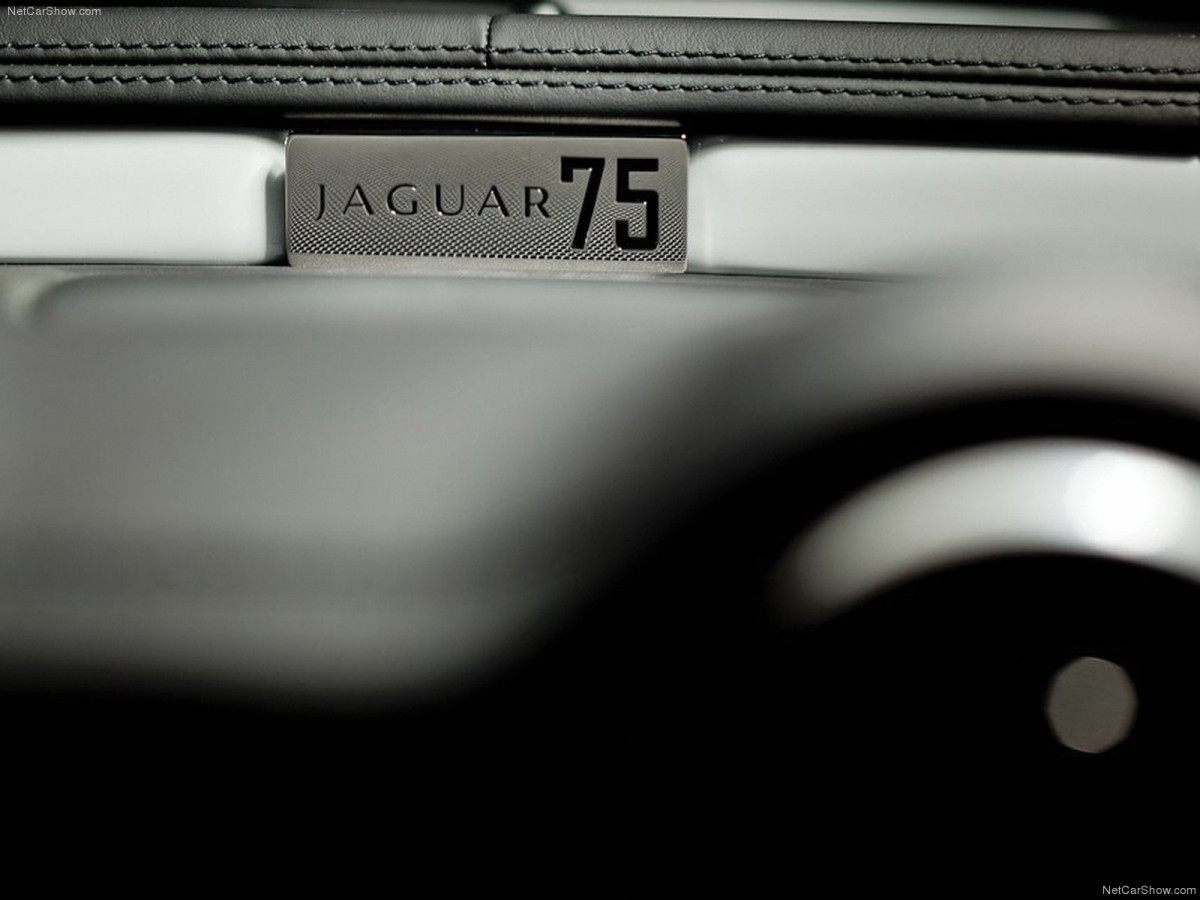 Jaguar XJ75 Platinum Concept фото 78483