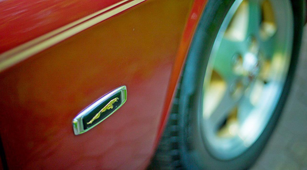 Jaguar XJS фото 162837