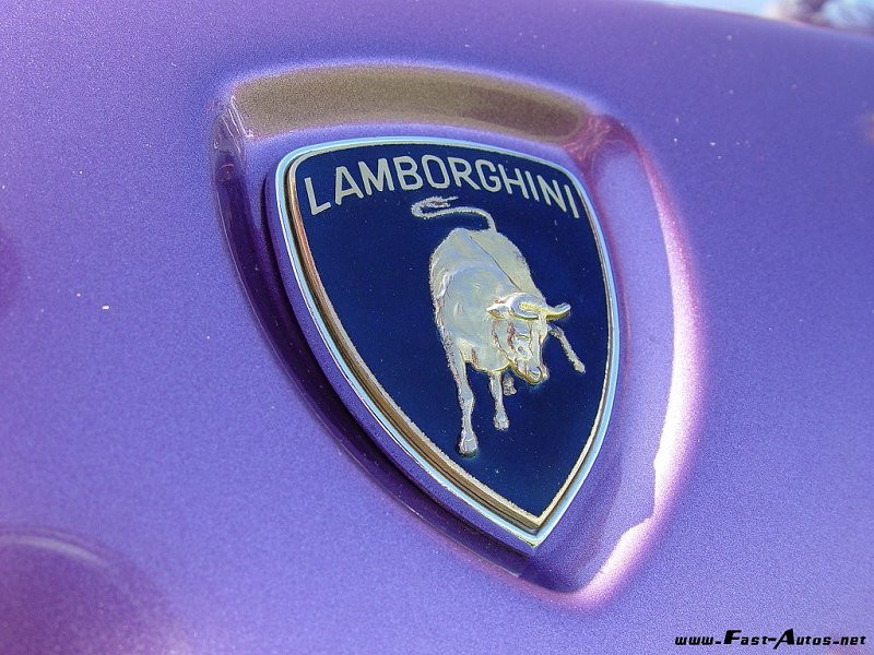 Lamborghini Diablo SE30 фото 17141