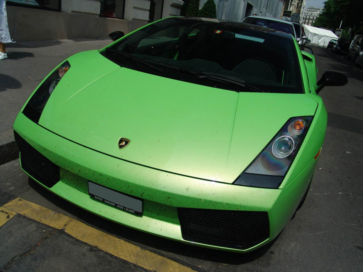 Lamborghini Gallardo фото 50898