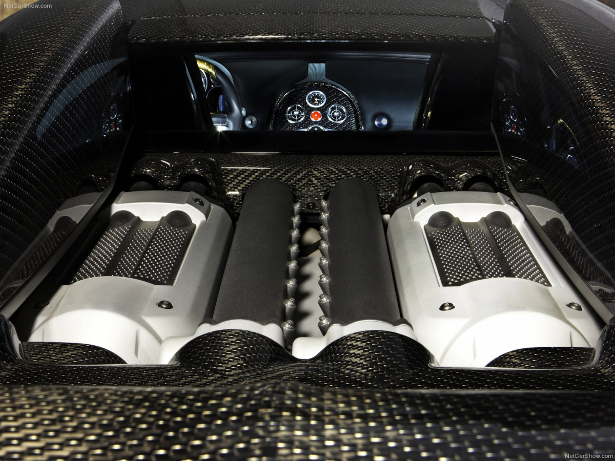 Mansory Bugatti Veyron Linea Vincero dOro фото 78307