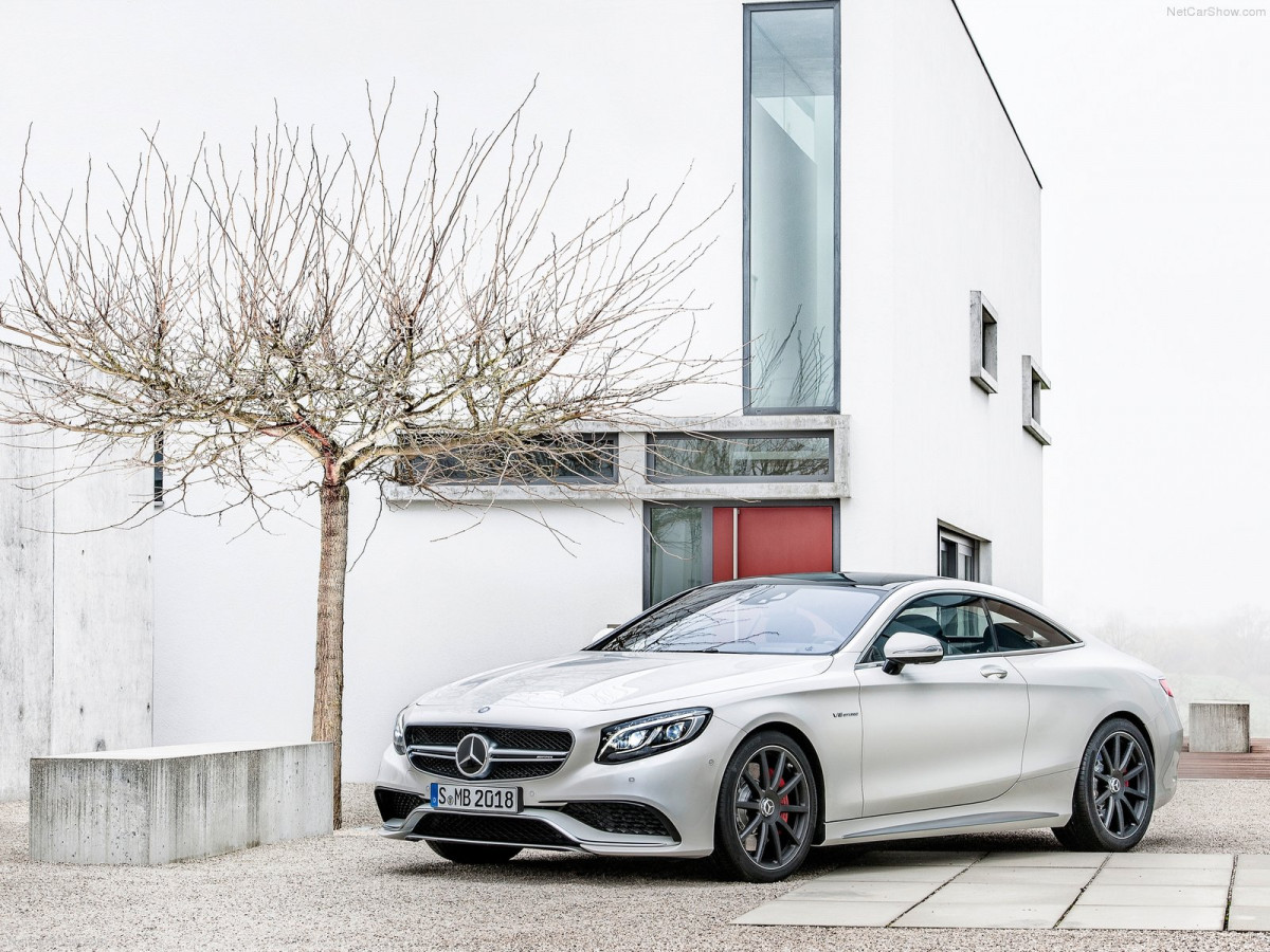 Mercedes-Benz S-Class AMG Coupe фото 130688