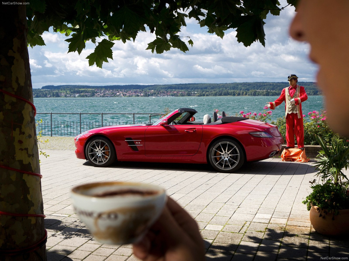 Mercedes-Benz SLS AMG Roadster фото 87966