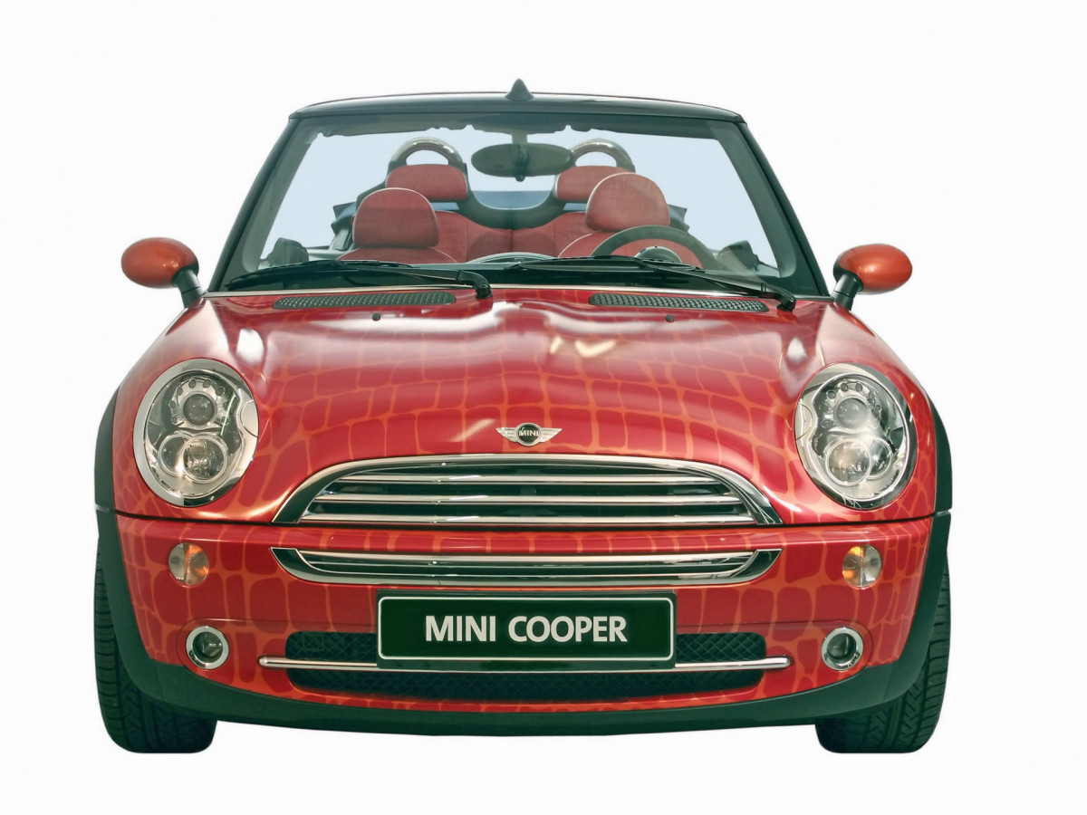 Mini Cooper Convertible фото 5780