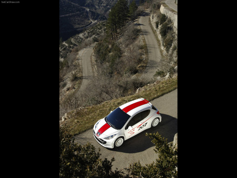 Peugeot 207 RCup фото