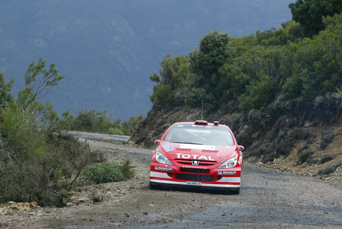 Peugeot 307 WRC фото 30555