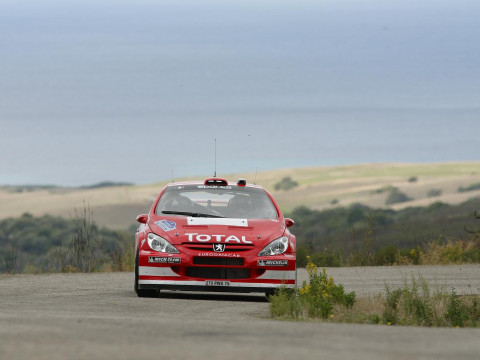 Peugeot 307 WRC фото
