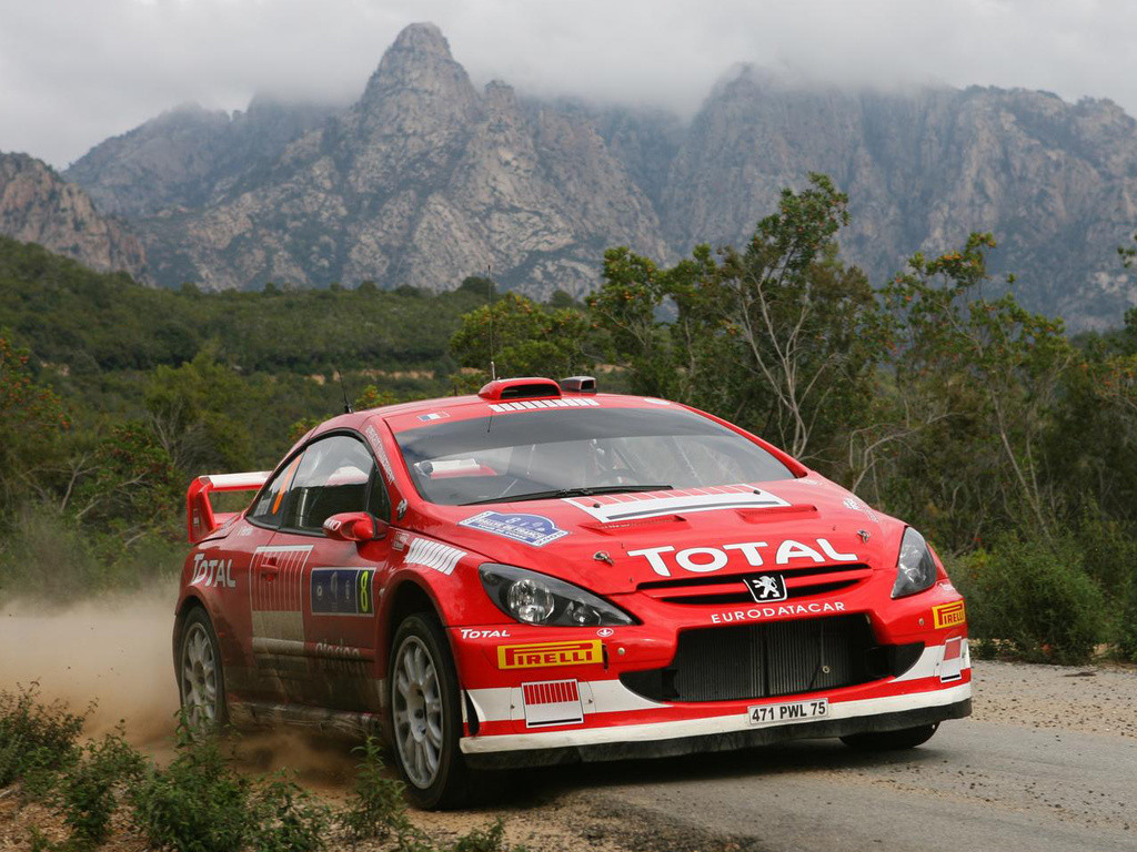 Peugeot 307 WRC фото 99496