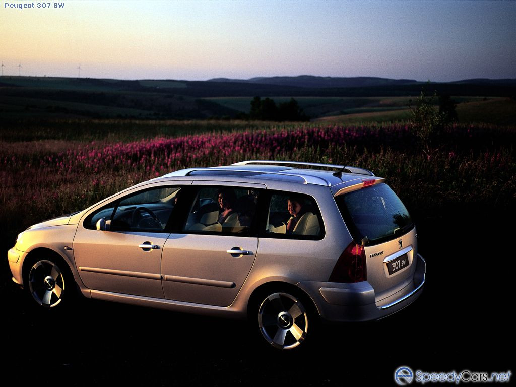 Peugeot 307 фото 2008