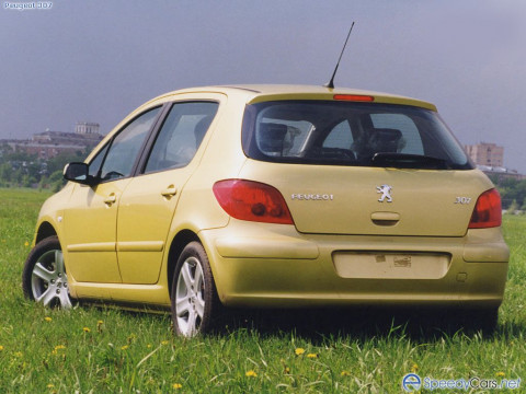 Peugeot 307 фото