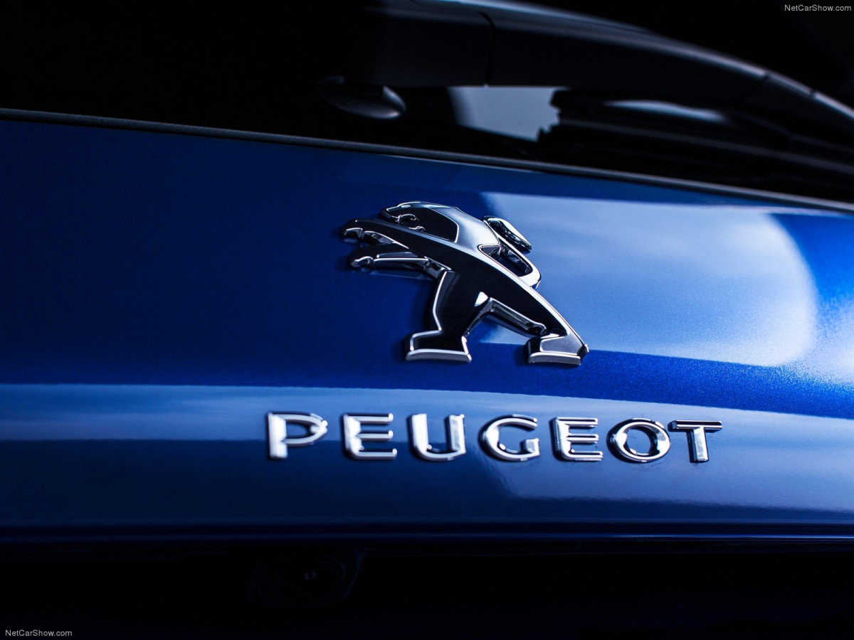 Peugeot 308 GT фото 135403