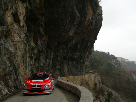 Peugeot WRC фото