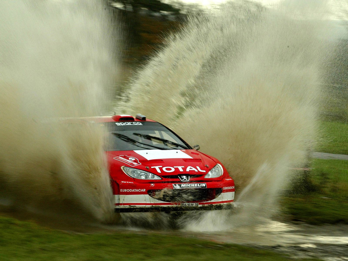 Peugeot WRC фото 8246