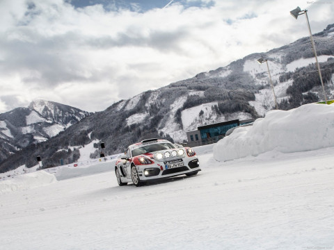 Porsche Cayman GT4 фото