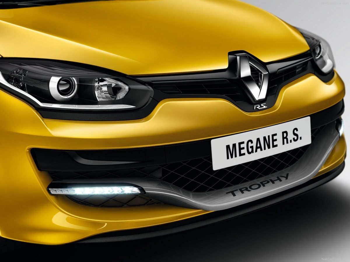 Renault Megane RS Trophy фото 129517